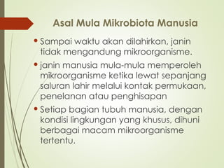 Asal Mula Mikrobiota Manusia
 Sampai waktu akan dilahirkan, janin
tidak mengandung mikroorganisme.
 janin manusia mula-mula memperoleh
mikroorganisme ketika lewat sepanjang
saluran lahir melalui kontak permukaan,
penelanan atau penghisapan
 Setiap bagian tubuh manusia, dengan
kondisi lingkungan yang khusus, dihuni
berbagai macam mikroorganisme
tertentu.
 