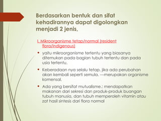 Berdasarkan bentuk dan sifat
kehadirannya dapat digolongkan
menjadi 2 jenis,
I. Mikroorganisme tetap/normal (resident
flora/indigenous)
 yaitu mikroorganisme tertentu yang biasanya
ditemukan pada bagian tubuh tertentu dan pada
usia tertentu.
 Keberadaan nya selalu tetap, jika ada perubahan
akan kembali seperti semula. ---merupakan organisme
komensal.
 Ada yang bersifat mutualisme.: mendapatkan
makanan dari sekresi dan produk-produk buangan
tubuh manusia, dan tubuh memperoleh vitamin atau
zat hasil sintesis dari flora normal
 
