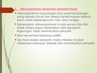 2. Mikroorganisme sementara (transient flora)
 mikroorganisme nonpatogen atau potensial patogen
yang berada di kulit dan selaput lendir/mukosa selama
kurun waktu beberapa jam, hari, atau minggu.
 Keberadaan mikroorganisme ini ada secara tiba-tiba
(tidak tetap) dapat disebabkan oleh pengaruh
lingkungan, tidak menimbulkan penyakit .
 Flora sementara biasanya sedikit.
 Jika flora residen berubah, maka mikroba ini akan
melakukan kolonisasi, berbiak dan menimbulkan penyakit.
 