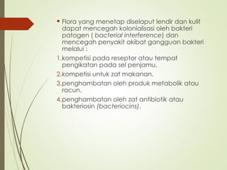  Flora yang menetap diselaput lendir dan kulit
dapat mencegah kolonialisasi oleh bakteri
patogen ( bacterial interference) dan
mencegah penyakit akibat gangguan bakteri
melalui :
1.kompetisi pada reseptor atau tempat
pengikatan pada sel penjamu,
2.kompetisi untuk zat makanan,
3.penghambatan oleh produk metabolik atau
racun,
4.penghambatan oleh zat antibiotik atau
bakteriosin (bacteriocins).
 