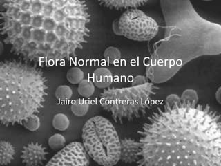 Flora Normal en el Cuerpo
        Humano
   Jairo Uriel Contreras López
 