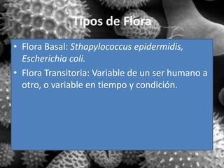 Tipos de Flora
• Flora Basal: Sthapylococcus epidermidis,
  Escherichia coli.
• Flora Transitoria: Variable de un ser humano a
  otro, o variable en tiempo y condición.
 