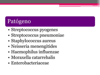 Patógeno
•   Streptococcus pyogenes
•   Streptococcus pneumoniae
•   Staphylococcus aureus
•   Neisseria menengitides
•   Haemophilus influenzae
•   Moraxella catarrehalis
•   Enterobacteriaceae
 