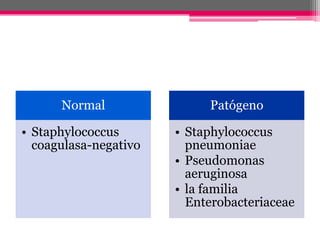 Normal                Patógeno

• Staphylococcus       • Staphylococcus
  coagulasa-negativo     pneumoniae
                       • Pseudomonas
                         aeruginosa
                       • la familia
                         Enterobacteriaceae
 