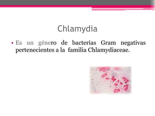 Chlamydia
• Es un género de bacterias Gram negativas
  pertenecientes a la familia Chlamydiaceae.
 