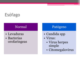 Esófago

      Normal          Patógeno

• Levaduras      • Candida spp
• Bacterias      • Virus:
  orofaringeas     • Virus herpes
                     simple
                   • Citomegalovirus
 