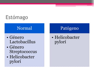 Estómago

     Normal           Patógeno

• Género          • Helicobacter
  Lactobacillus     pylorí
• Género
  Streptococcus
• Helicobacter
  pylorí
 