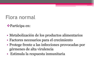 Flora normal
Participa en:

• Metabolización de los productos alimentarios
• Factores necesarios para el crecimiento
• Protege frente a las infecciones provocadas por
  gérmenes de alta virulencia
• Estimula la respuesta inmunitaria
 