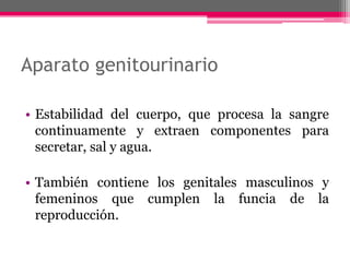 Aparato genitourinario

• Estabilidad del cuerpo, que procesa la sangre
  continuamente y extraen componentes para
  secretar, sal y agua.

• También contiene los genitales masculinos y
  femeninos que cumplen la funcia de la
  reproducción.
 