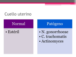 Cuello uterino

    Normal           Patógeno

• Estéril        • N. gonorrhoeae
                 • C. trachomatis
                 • Actinomyces
 