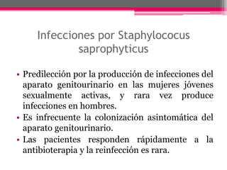 Infecciones por Staphylococus
             saprophyticus

• Predilección por la producción de infecciones del
  aparato genitourinario en las mujeres jóvenes
  sexualmente activas, y rara vez produce
  infecciones en hombres.
• Es infrecuente la colonización asintomática del
  aparato genitourinario.
• Las pacientes responden rápidamente a la
  antibioterapia y la reinfección es rara.
 