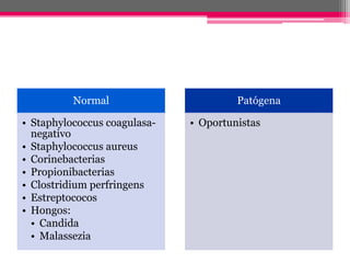 Normal                       Patógena

• Staphylococcus coagulasa-   • Oportunistas
  negativo
• Staphylococcus aureus
• Corinebacterias
• Propionibacterias
• Clostridium perfringens
• Estreptococos
• Hongos:
  • Candida
  • Malassezia
 