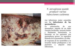P. aeruginosa puede
      producir varias
  infecciones cutáneas

Las infecciones mejor conocidas
son las infecciones de las
quemaduras.
La      colonización     de      una
quemadura, seguida de un daño
vascular localizado, necrosis tisular
y finalmente bacteriemia, es
frecuente en los pacientes con
quemaduras graves. La superficie
húmeda de la quemadura y la falta
de respuesta de los neutrófilos a la
invasión tisular predisponen a los
pacientes     a    adquirir     estas
infecciones.
 
