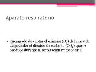 Aparato respiratorio



• Encargado de captar el oxígeno (O2) del aire y de
  desprender el dióxido de carbono (CO2) que se
  produce durante la respiración mitocondrial.
 