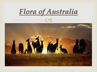 
Flora of Australia
 