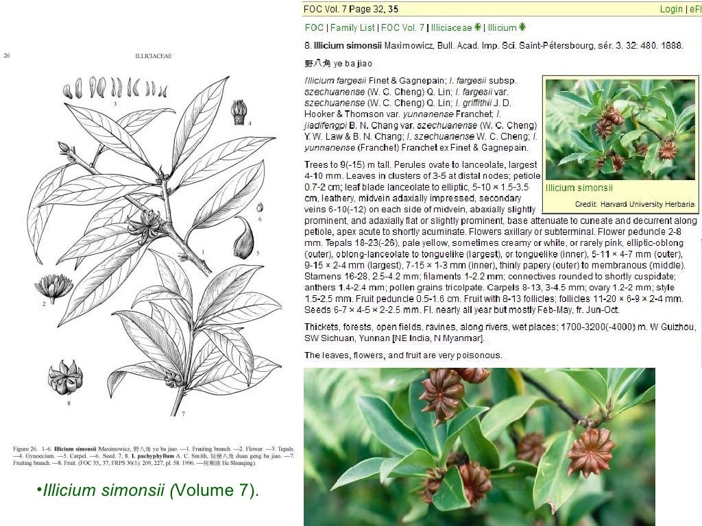 Flora of China eresources
