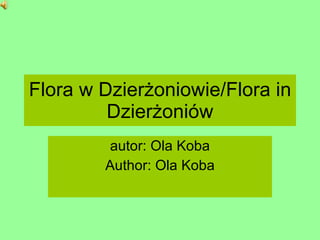 Flora w Dzierżoniowie/Flora in Dzierżoniów autor: Ola Koba Author: Ola Koba 