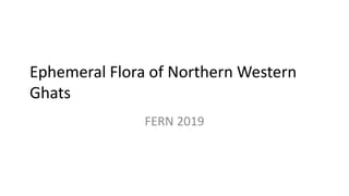 Ephemeral Flora of Northern Western
Ghats
FERN 2019
 
