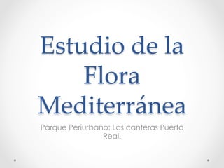 Estudio  de  la  
    Flora  
Mediterránea	
Parque Periurbano: Las canteras Puerto
                Real.
 