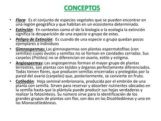 CONCEPTOS
• Flora: Es el conjunto de especies vegetales que se pueden encontrar en
una región geográfica y que habitan en un ecosistema determinado.
• Extinción: En contextos como el de la biología o la ecología la extinción
significa la desaparición de una especie o grupo de estas.
• Peligro de Extinción: Es cuando de una especie o grupo quedan pocos
ejemplares o individuos
• Gimnospermas: Las gimnospermas son plantas espermatofitas (con
semillas) cuyos óvulos y semillas no se forman en cavidades cerradas. Sus
carpelos (Pistilos) no se diferencian en ovario, estilo y estigma.
• Angiospermas: Las angiospermas forman el mayor grupo de plantas
terrestres, son plantas con tejidos y órganos perfectamente diferenciados.
Todas tienen flores, que producen semillas encerradas y protegidas por la
pared del ovario (carpelos) que, posteriormente, se convierte en fruto.
• Cotiledón: Hoja seminal embrionaria, producida por el embrión de una
planta con semilla. Sirven para reservar y absorber nutrientes ubicados en
la semilla hasta que la plántula puede producir sus hojas verdaderas y
realizar la fotosíntesis. Su número sirve para la identificación de los
grandes grupos de plantas con flor, son dos en las Dicotiledóneas y uno en
las Monocotiledóneas.
 