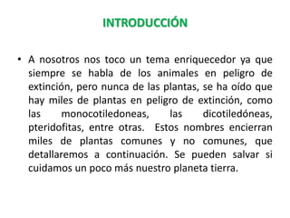 INTRODUCCIÓN
• A nosotros nos toco un tema enriquecedor ya que
siempre se habla de los animales en peligro de
extinción, pero nunca de las plantas, se ha oído que
hay miles de plantas en peligro de extinción, como
las monocotiledoneas, las dicotiledóneas,
pteridofitas, entre otras. Estos nombres encierran
miles de plantas comunes y no comunes, que
detallaremos a continuación. Se pueden salvar si
cuidamos un poco más nuestro planeta tierra.
 
