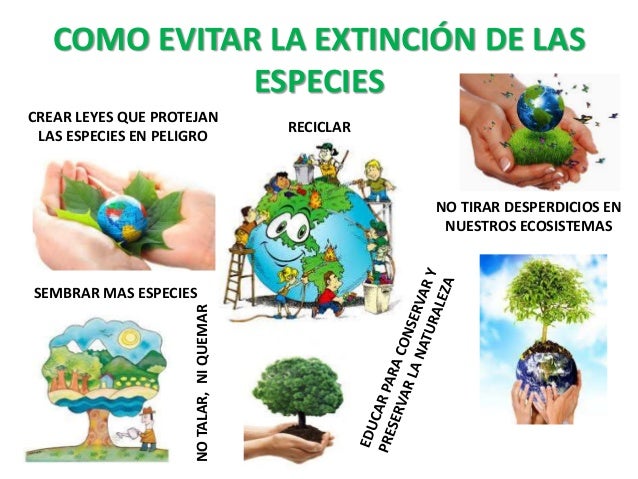 Como evitar los asteriscos vasculares en los pies