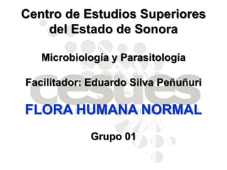 Centro de Estudios Superiores
del Estado de Sonora
Microbiología y Parasitología
Facilitador: Eduardo Silva Peñuñuri
FLORA HUMANA NORMAL
Grupo 01
 