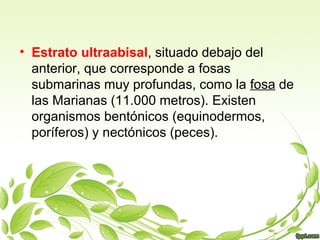 • Estrato ultraabisal, situado debajo del
anterior, que corresponde a fosas
submarinas muy profundas, como la fosa de
las Marianas (11.000 metros). Existen
organismos bentónicos (equinodermos,
poríferos) y nectónicos (peces).
 