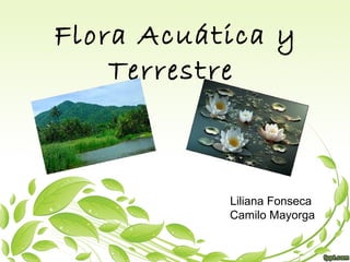 Flora Acuática y
Terrestre
Liliana Fonseca
Camilo Mayorga
 