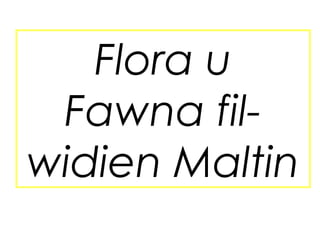 Flora u
 Fawna fil-
widien Maltin
 