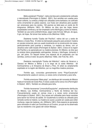 flora util en nicaragua_Layout 1 11/25/09 2:55 PM Page 157




                  Flora Útil etnobotánica de nicaragua



                          Melia azedarach “Paráiso”, nativa de Asia pero ampliamente cultivada
                  y naturalizada (Pennington & Styles† 2001). Sus semillas son usadas para
                  hacer collares, su corteza y follaje son utilizadas como barbasco; es cultivado
                  como ornamental en patios caseros. Los frutos son atractivos pero pueden
                  ser venenosos para los cerdos, 150 gramos es letal para un cerdo de 25
                  kilogramos (Williams 1981). En México se dice que las hojas tienen
                  propiedades vomitivas y se han empleado como febrífugas y contra la histeria.
                  También se usa como antihelmínticas, según esta formula: 500 grs. de agua,
                  5 grs. de hojas. Se toman tres tacitas al día (Martínez 1936).

                          Swietenia humilis “Caoba del Pacífico”, nativa del sur y oeste de
                  México a Costa Rica. El árbol es demasiado pequeño para producir madera
                  en escala comercial, pero es usado localmente en la construcción de casas,
                  particularmente para puertas y ventanas. La madera es densa, con un
                  atractivo color café-rosado (Pennington & Styles† 2001). Crece en la región
                  del Pacífico y es apreciada por su madera preciosa. En México, se dice que
                  la corteza tiene propiedades astringentes, tónicas y febrífugas, tomando 2
                  grs. del polvo. En Nayarit toman una especie de té preparado con las
                  semillas, contra el dolor de pecho (Martínez 1936). (Ver Foto No. 207).

                         Swietenia macrophylla “Caoba del Atlántico”, nativa de Veracruz y
                  Oaxaca en México a Belice y a lo largo de la costa Atlántica de
                  Centroamérica y el Amazona de Brasil y Perú. El árbol es ampliamente
                  explotado en la región del Atlántico, por su magnífica madera preciosa.

                         Trichilia spp., conocidas generalmente como “Piojo/Cacahuillo”
                  Frecuentemente usada en cercos y a veces como ornamental y para leña.

                          Trichilia americana “Mata piojo”, se distribuye del noroeste de México
                  hasta el noroeste de Costa Rica. A veces usada como cerca vivo (Pennington
                  & Styles† 2001). También es utilizada para leña.

                          Trichilia havanensis “Limoncillo/Esquijoche”, ampliamente distribuída
                  de México, Las Antillas, Centroamérica y Norte de América del Sur.
                  Frecuentemente usada en cercas vivas y a veces como ornamental
                  (Pennington & Styles† 2001). Sus ramas son utilizadas para hacer escobas
                  para barrer los hornos de adobe. En Guatemala la corteza es utilizada para
                  remedio contra la malaria. La madera es suave y puede ser usada para tallar
                  muñecas, cajas de maderas, etc. (Williams 1981). Esta especie es apropiada
                  para reforestar el valle Las Conchitas en el Crucero, ya que se ha observado
                  que es resistente a los gases del volcán Masaya.




                                                                                            157
 
