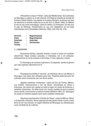 flora util en nicaragua_Layout 1 11/25/09 2:55 PM Page 166




                                                                              Alfredo Grijalva Pineda



                       Petroselinum crispum “Perejil”, nativo del Mediterraneo. Son cultivados
              en Nicaragua y usados en el arte culinario. El Perejil es silvestre al Sureste de
              Europa y Oeste Asiático, fue popular en la época Romana; la primera vez que
              se menciona la variante rizada fue en el año 42 d .C (Bown 1995). En México
              la raíz se usa como emenagogo, contra la nefritis y la hidropesía. Se dice que
              el jugo es febrífugo. Popularmente se usa una cataplasma de las hojas
              machacadas como hemostático (Martínez 1936). (Ver Foto No. 218).


              división           :    Magnoliophyta
              clase              :    Magnoliopsida
              Subclase           :    Asteridae
              orden              :    Gentianales
              Familia            :

              1. Loganiaceae

                      Raramente hierbas, arbustos, árboles o lianas a veces con tendriles
              (Strychnos). Hojas simples, opuestas o 4-ternadas, con o sin estípulas.
              Inflorescencia en cimas axilares o terminales. Frutos cápsulas o bayas.

                    En Nicaragua se conocen 5 géneros y 12 especies, siendo el género
              con más especies Strychnos con 6.

              Usos:

                      Plocosperma buxifolium “Jicarillo”, se distribuye del sur de México a
              Nicaragua. Sus tallos son utilizados para leña. Presenta potencial para ser
              cultivado como ornamental, por sus flores azules.

                      Spigelia anthelmia “Lombricera”, nativa del Sur de Florida, México,
              Las Antillas, Centroamérica y Sur de Brasil, naturalizada en Africa e
              Indonesia. Las raíces son usadas en toda la región en casos de lombrices y
              parásitos intestinales. Se debe tomar con mucho cuidado ya que el exceso
              causa vómito, convulsiones y hasta la muerte (Williams 1981). En Nicaragua
              es usada en medicina popular para sacar parásitos intestinales.

                     Strychnos brachistantha “Colmillo de Toboa”, oeste de México, Belice
              y Guatemala a Panamá. Varias especies de este género tienen curaré y tiene
              fama de ser muy tóxicas, en región Atlántica de Nicaragua es utilizada para
              curar mordeduras de culebras.




              166
 