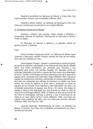 flora util en nicaragua_Layout 1 11/25/09 2:55 PM Page 82




                                                                            Alfredo Grijalva Pineda



                      Passiflora serratifolia, Se distribuye de México a Costa Rica. Sus
              frutos amarillos maduros, son comestibles (Williams 1981).

                      Passiflora vitifolia “Güillita”, se distribuye de Nicaragua a Perú. Sus
              frutos son comidos por los campesinos en la región Atlántica.

              8. Caricaceae (familia de la Papaya)

                      Arbustos y árboles, savia lechosa. Hojas simples y lobuladas o
              compuestas, alternas, sin estípulas. Inflorescencia en panículas o racimos.
              Frutos en bayas.

                     En Nicaragua se conocen 2 géneros y 5 especies, siendo los
              géneros Carica y Jacaratia.

              Usos:

                      Carica cauliflora “Papaya de monte”, se distribuye de México hasta
              Colombia y Venezuela, también Trinidad, ausente del resto de las Antillas.
              Sus frutos son comidos por aves.

                       Carica papaya “Papaya”, silvestre o asilvestrada en América tropical,
              de donde es originaria; naturalizada en los trópicos del Viejo Mundo (Badillo
              2001). Sus frutos comestibles, son utilizados para refrescos y son
              exportados para postre. Las semillas tragadas son utilizadas contra las
              lombrices intestinales y las leche y cáscara del fruto verde como ablandador
              de carne. También en Nicaragua se hacen deliciosos dulce de la pulpa de la
              papaya verde, conocidos como piñonates. Según (Williams 1981), cita que la
              papaya fue ampliamente cultivada y distribuídas en tiempos precolombinos,
              los frutos son excelentes pero difíciles de mantener su calidad. Los frutos
              verdes son fuente de papaína, la leche seca y purificada es fuente de
              papaína que es utilizada como digestiva y como ablandador de carne. Los
              principales productores de papaya son Africa y Sri Lanka. Una rodaja de
              papaya 3 veces al día, endulzada con miel de jicote es usada en caso de
              úlceras en el estómago (ISNAYA 1998). En México se dice que la infusión de
              las flores es emenagoga, febrífuga y pectoral, y que el cocimiento de las
              hojas es un buen efecto contra el asma (Martínez 1936). Las hojas son
              usadas como substituto del jabón, son muy útiles para remover manchas
              (Cáceres 1999). (Ver Foto No. 100).

                     Jacaratia dolichaula, “Barilillo/Papaya de monte”, se distribuye de
              México a Panamá. Sus frutos son comestibles principalmente por aves y
              también por humanos.



              82
 
