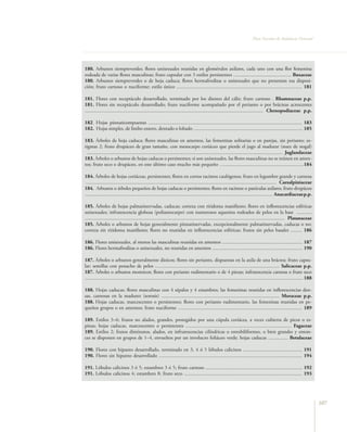 Flora Vascular de Andalucía Oriental




180. Arbustos siempreverdes; flores unisexuales reunidas en glomérulos axilares, cada uno con una flor femenina
rodeada de varias flores masculinas; fruto capsular con 3 estilos persistentes .............................................. Buxaceae
180. Arbustos siempreverdes o de hoja caduca; flores hermafroditas o unisexuales que no presentan esa disposi-
ción; fruto carnoso o nuciforme; estilo único .................................................................................................... 181

181. Flores con receptáculo desarrollado, terminado por los dientes del cáliz; fruto carnoso . Rhamnaceae p.p.
181. Flores sin receptáculo desarrollado; fruto nuciforme acompañado por el perianto o por brácteas acrescentes
.............................................................................................................................................. Chenopodiaceae p.p.

182. Hojas pinnaticompuestas .......................................................................................................................... 183
182. Hojas simples, de limbo entero, dentado o lobado ....................................................................................... 185

183. Árboles de hoja caduca; flores masculinas en amentos, las femeninas solitarias o en parejas, sin perianto; es-
tigmas 2; fruto drupáceo de gran tamaño, con mesocarpo coriáceo que pierde el jugo al madurar (nuez de nogal)
 ............................................................................................................................................................ Juglandaceae
183. Árboles o arbustos de hojas caducas o persistentes; si son unisexuales, las flores masculinas no se reúnen en amen-
tos; fruto seco o drupáceo, en este último caso mucho más pequeño …...............................................................184

184. Árboles de hojas coriáceas, persistentes; flores en cortos racimos caulógenos; fruto en legumbre grande y carnosa
........................................................................................................................................................ Caesalpiniaceae
184. Arbustos o árboles pequeños de hojas caducas o persistentes; flores en racimos o panículas axilares; fruto drupáceo
..................................................................................................................................................... Anacardiaceae p.p.

185. Árboles de hojas palmatinervadas, caducas; corteza con ritidoma manifiesto; flores en inflorescencias esféricas
unisexuales; infrutescencia globosa (poliantocarpo) con numerosos aquenios rodeados de pelos en la base ............
............................................................................................................................................................... Platanaceae
185. Árboles o arbustos de hojas generalmente pinnatinervadas, excepcionalmente palmatinervadas, caducas o no;
corteza sin ritidoma manifiesto; flores no reunidas en inflorescencias esféricas; frutos sin pelos basales ......... 186

186. Flores unisexuales, al menos las masculinas reunidas en amentos ................................................................ 187
186. Flores hermafroditas o unisexuales, no reunidas en amentos ........................................................................ 190

187. Árboles o arbustos generalmente dioicos; flores sin perianto, dispuestas en la axila de una bráctea; fruto capsu-
lar; semillas con penacho de pelos ................................................................................................... Salicaceae p.p.
187. Árboles o arbustos monoicos; flores con perianto rudimentario o de 4 piezas; infrutescencia carnosa o fruto seco
.............................................................................................................................................................................. 188

188. Hojas caducas; flores masculinas con 4 sépalos y 4 estambres; las femeninas reunidas en inflorescencias den-
sas, carnosas en la madurez (sorosis) .............................................................................................. Moraceae p.p.
188. Hojas caducas, marcescentes o persistentes; flores con perianto rudimentario, las femeninas reunidas en pe-
queños grupos o en amentos; fruto nuciforme ................................................................................................... 189

189. Estilos 3–6; frutos no alados, grandes, protegidos por una cúpula coriácea, a veces cubierta de picos o es-
pinas; hojas caducas, marcescentes o persistentes .................................................................................... Fagaceae
189. Estilos 2; frutos diminutos, alados, en infrutescencias cilíndricas o estrobiliformes, o bien grandes y enton-
ces se disponen en grupos de 1–4, envueltos por un involucro foliáceo verde; hojas caducas ................ Betulaceae

190. Flores con hipanto desarrollado, terminado en 3, 4 ó 5 lóbulos calicinos ............................................... 191
190. Flores sin hipanto desarrollado .................................................................................................................. 194

191. Lóbulos calicinos 3 ó 5; estambres 3 ó 5; fruto carnoso ............................................................................. 192
191. Lóbulos calicinos 4; estambres 8; fruto seco .............................................................................................. 193




                                                                                                                                                                                     107
 