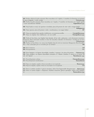 Flora Vascular de Andalucía Oriental




205. Hierbas cubiertas de pelos urticantes; flores masculinas con 4 sépalos y 4 estambres, las femeninas con perianto
de piezas desiguales y ovario ovoideo .............................................................................................. Urticaceae p.p.
205. Hierbas sin pelos urticantes; flores masculinas con 3 sépalos y 9 estambres, las femeninas con 3 sépalos iguales
y ovario marcadamente bilobado .............................................................................................. Euphorbiaceae p.p.

206. Hojas basales en roseta, las superiores verticiladas; piezas del perianto de color verde y margen hialino ............
.......................................................................................................................................................... Molluginaceae
206. Hojas opuestas; piezas del perianto verdes o membranáceas, sin margen hialino ...................................... 207

207. Hojas con estípulas; fruto capsular o indehiscente, con numerosas semillas ......................... Caryophyllaceae p.p.
207. Hojas sin estípulas; fruto indehiscente, con una semilla .............................................. Chenopodiaceae p.p.

208. Hierbas de base leñosa, muy híspidas; hojas dentadas, de haz verde y pubescente y envés densamente tomentoso–
blanquecino; flores unisexuales reunidas en cimas (las masculinas rodeando a las femeninas), envueltas por un invo-
lucro de 3–6 brácteas ......................................................................................................................... Urticaceae p.p.
208. Hierbas con base leñosa o no, nunca muy híspidas; hojas de envés no tomentoso–blanquecino; flores hermafro-
ditas, o bien unisexuales pero no envueltas por un involucro ............................................................................ 209

209. Flores tetrámeras .......................................................................................................................................... 210
209. Flores pentámeras .......................................................................................................................................... 211

210. Flores hipóginas, sin hipanto desarrollado; estambres 4 opuestos a las piezas del perianto .... Urticaceae p.p.
210. Flores períginas, con hipanto desarrollado terminado en 4 lóbulos; estambres 8, insertos en el interior del
tubo del hipanto ................................................................................................................... Thymelaeaceae p.p.

211. Piezas del perianto verdosas .............................................................................................. Chenopodiaceae p.p.
211. Piezas del perianto membranáceas .............................................................................................. Amaranthaceae

212. Hojas con estípulas; carpelos y frutos encerrados en un receptáculo ............................................... Rosaceae p.p.
212. Hojas sin estípulas; carpelos y frutos no encerrados en un receptáculo .......................................................... 213

213. Flores en umbela; estambres 5; gineceo sincárpico, ínfero; fruto fragmentable (diesquizocarpo) ... Apiaceae p.p.
213. Flores en racimos simples o compuestos; estambres numerosos; gineceo apocárpico, súpero; fruto poliaque-
nio ............................................................................................................................................ Ranunculaceae p.p.




                                                                                                                                                                           109
 