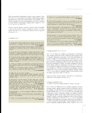 Flora Vascular de Andalucía Oriental




Flores actinomorfas, hermafroditas, trímeras, erectas, solitarias. Tépa-
                                                                                                         7. Planta 8–15 cm; pedicelos florales glabros; estilo 2–3,5 mm ......
los 15–40 x 6–11 mm, elípticos, lanceolados u oblanceolados, agudos,                                     ................................................................................. 7. G. durieui
apiculados, los 3 externos de envés purpúreo y haz amarillo, y los 3
internos amarillos con nervio medio purpúreo en el envés. Estambres                                      8. Hojas basales desiguales, la mayor muy aquillada, de sección
6; anteras basifijas. Ovario súpero; estigmas sésiles. Cápsula 1,7–3,2 x                                 triangular, generalmente más gruesa que ancha, con hacecillos vas-
1,5–1,7 cm. 2n = 24. (III)IV–VI.                                                                         culares dispuestos en anillo; planta robusta, glauca ....................
                                                                                                         ....................................................................... 8. G. algeriensis
Encinares, matorrales basófilos y silicícolas, vegetación orófila, almohadillada                         8. Hojas basales iguales o algo desiguales, la mayor canaliculada,
y rastrera de alta montaña, canchales y pedregales de montaña, en ocasiones                              plana o semicilíndrica, raramente de sección triangular, igual de
rupícola, 500–2200 m (m–o). Mediterránea occidental. Presente en gran parte                              anchas o más anchas que gruesas, con hacecillos vasculares alinea-
del territorio. fr. LC.                                                                                  dos o dispuestos en forma de V ................................................... 9

                                                                                                         9. Hojas basales 1–2 mm de anchura, lineares; brácteas (4)6–10 x
                                                                                                         0,2–0,6 cm, alternas, distantes; pedicelos florales glabros o glabres-
4. GAGEA Salisb.                                                                                         centes, a veces con unos pocos pelos en el ápice, junto a la base de la
                                                                                                         flor; estilo 3–4(4,5) mm ........................................... 9. G. elliptica
                                                                                                         9. Hojas basales (1)2–4 mm de anchura, linear–lanceoladas; brác-
 1. Escapo hueco; hojas basales huecas, gruesas, de sección entre                                        teas 4–6 x 0,5–0,8 cm, alternas, aproximadas, tendiendo a subo-
 semicilíndrica y triangular; brácteas de la inflorescencia opuestas                                     puestas; pedicelos florales vellosos; estilo 5–7 mm .... 10. G. lacaitae
 ............................................................................ 3. G. fragifera
 1. Escapo macizo; hojas basales macizas, planas, canaliculadas, se-
 micilíndricas o cilíndricas; brácteas de la inflorescencia opuestas o
 alternas ..................................................................................... 2
                                                                                                        1. Gagea pratensis (Pers.) Dumort.
 2. Escapo de sección cuadrangular o trígona; hojas basales 1, muy
 raramente 2, angulosas, de margen truncado; brácteas de la inflo-                                      G.b. 7–15 cm. Planta con 3 bulbos, uno elipsoideo, casi horizontal,
 rescencia opuestas o subopuestas, sin otro tipo de hojas en el tallo
 .................................................................................................. 3   vacío cuando la planta está en flor, rodeado por túnicas pardo–claras,
 2. Escapo de sección circular o elíptica; hojas basales 2, que a ve-                                   y 2 laterales, blanquecinos, desnudos, uno de ellos tuberculado; raí-
 ces parecen más cuando hay bulbillos en la base de la planta, de                                       ces finas y frágiles. Una sola hoja basal, muy raramente 2, de 7–18 x
 margen más o menos redondeado; brácteas de la inflorescencia                                           0,3–0,4 cm, más larga que el escapo, plana, maciza, angulosa, de már-
 opuestas o alternas .................................................................... 4             genes truncados y cartilaginosos, glabra, de base rojiza. Escapo macizo,
 3. Planta con 3 bulbos, uno elipsoideo, casi horizontal, tunicado,                                     de sección cuadrangular o trígona, con quillas cartilaginosas, rojizo en
 vacío cuando la planta está en flor, otros 2 laterales, blanquecinos,                                  la base. Brácteas opuestas o subopuestas, la mayor de 3–4,5 x 0,3–0,5
 desnudos ............................................................. 1. G. pratensis                 cm, lanceolada, con algunos cilios dispersos en el margen. Inflorescen-
 3. Planta con 1 solo bulbo, erguido u oblicuo, macizo en la flora-                                     cia en umbela con 1–4(6) flores actinomorfas, hermafroditas, trímeras;
 ción, cubierto de túnicas de color pardo oscuro ..........................                             pedicelos 0,8–1,8 cm, erectos o arqueados, angulosos, glabros. Tépalos
 ......................................................................... 2. G. reverchonii
                                                                                                        c. 10 x 2,5 mm, elípticos u oblongos, glabros, de haz amarillo y envés
 4. Bulbo solo con raíces finas y frágiles ....................................... 5                    de verdoso a rojo oscuro. Estilo 4–5 mm. IV.
 4. Bulbo rodeado de raíces gruesas, rígidas, arqueadas, con geo-
 tropismo negativo, blanquecinas, que se aprecian al quitar con                                         Vegetación pascícola y pratense climática, 1400–1800 m (s). Eurosiberiana y
 cuidado la tierra ........................................................................ 6           mediterránea. Cazorla, Mágina, Vélez–Baza. ra. LC.
 5. Hojas hasta 1 mm de anchura, de color verde mate y de base
 frecuentemente rojiza, no retorcidas; botones florales péndulos;
 pedicelos florales glabros, muy raramente con algún pelo en el                                         2. Gagea reverchonii Degen
 ápice; estilo de (2)2,5–3(3,5) mm ................... 5. G. nevadensis                                 = G. lutea (L.) Ker Gawl. subsp. burnatii (A. Terracc.) M. Laínz
 5. Hojas de más de 1 mm de anchura, de color verde brillante,
 con la base blanca, algo retorcidas; botones florales erectos o algo                                   G.b. 5–12(18) cm. Bulbo 0,8–1,5 cm, ovoideo o piriforme, con túni-
 inclinados, pero no péndulos; pedicelos florales pelosos, rara-
 mente subglabros; estilo de (3,5)4–6 mm ..... 6. G. maroccana                                          cas pardo–oscuras, erguido u oblícuo, macizo en la floración; raíces fi-
                                                                                                        nas y frágiles. Una sola hoja basal –rara vez aparecen 2 por la presencia
 6. Hojas basales c. 0,5 mm de diámetro, filiformes, cilíndricas o                                      de algún bulbillo axilar–, de 7–15 x 0,2–0,3(0,4) cm, más larga que el
 semicilíndricas ............................................................................ 7         escapo, plana, maciza, canaliculada, angulosa, de márgenes truncados
 6. Hojas basales (0,8)1–4,5(6) mm de anchura, canaliculadas o casi                                     y cartilaginosos, glabra, de base rojiza. Escapo macizo, de sección cua-
 planas, a veces aquilladas ............................................................ 8
                                                                                                        drangular o trígona, con quillas cartilaginosas, rojizo en la base. Brácteas
 7. Planta 3–6 cm; pedicelos florales muy vellosos; estilo 4–6 mm                                       opuestas o subopuestas, la mayor de 2,5–2,7 x c. 0,3 cm, lanceolada,
 .......................................................................... 4. G. bohemica              con algunos cilios dispersos en el margen. Inflorescencia en umbela con
                                                                                                        1–4 flores actinomorfas, hermafroditas, trímeras; pedicelos 0,6–0,9 cm,
                                                                                                        erectos o arqueados, angulosos, glabros, rojizos. Tépalos c. 10 x 1,5–3

                                                                                                                                                                                                           131
 