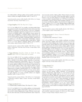 Flora Vascular de Andalucía Oriental




      mm, oblanceolados u oblongos, glabros, de haz amarillo y envés de rojo            cizo, de sección circular o elíptica, glabro. Brácteas alternas, la mayor
      oscuro a verdoso con márgenes amarillos. Estilo 4–5 mm. IV–V.                     de 2–4,5 x 0,2–0,4 cm, linear o linear–lanceolada, glabra, el resto de
                                                                                        brácteas a veces con pelos dispersos en el margen. Flores solitarias o
      Vegetación pascícola y pratense orófila e higrófila, 1600–2200 m (s–o). Europea   a veces en umbela o pseudocorimbo con 2–3(5) flores actinomorfas,
      suroccidental. Vélez–Baza, Nevada–Filabres. oc. LC.                               hermafroditas, trímeras; botones florales péndulos; pedicelos 1,5–2,7
                                                                                        cm, erectos en la floración, glabros, muy raramente con algún pelo en
                                                                                        el ápice. Tépalos 6–10 x 1,5–2,5 mm, oblongo–elípticos, glabros, agu-
      3. Gagea fragifera (Vill.) Ehr. Bayer & G. López                                  dos, amarillo–verdosos con márgenes amarillos. Estilo (2)2,5–3(3,5)
                                                                                        mm. III–VIII.
      G.b. 5–15 cm. Bulbo 0,5–0,7 cm, ovoideo, con túnicas pardo–claras,
      que guarda otro mucho más pequeño bajo la misma túnica; raíces finas              Vegetación pascícola y pratense orófila e higrófila, silicícola, 1400–3100 m (s–
      y frágiles. Generalmente con una sola hoja, a veces con 2 desiguales,             c). Íbero–magrebí. Cazorla, Nevada–Filabres. oc. NT.
      sobre todo en individuos vegetativos, la mayor de 8–15 x 0,2–0,3 cm,
      la menor con bulbillos axilares, ambas filiformes, huecas, gruesas, de
      sección entre semicilíndrica y triangular, glabras. Escapo hueco, de              6. Gagea maroccana (A. Terracc.) Sennen & Mauricio
      sección cilíndrica, glabro. Brácteas opuestas o subopuestas, la mayor de          = G. dubia A. Terrac.
      2,5–3,5 x 0,5–0,8 cm, lanceolada, canaliculada, glabra. Inflorescencia            = G. granatelli subsp. maroccana A. Terracc.
      en umbela con 1–3(5) flores actinomorfas, hermafroditas, trímeras;
      pedicelos 1–3 cm, erectos o arqueados, glabros o algo vellosos. Tépalos           G.b. 6–18 cm. Bulbo 0,7–1,5 cm, ovoideo o piriforme, con túnicas
      10–15 x 1,5–3 mm, elípticos u oblongos, glabros, de haz amarillo y                pardas; raíces finas y frágiles. Hojas basales 2, de (6)11–14 x 0,2–0,4
      envés verdoso, rojizos al secarse. Estilo 4–5 mm. V–VI.                           cm, casi de la misma longitud que el escapo o poco más largas, algo
                                                                                        retorcidas, planas, macizas, glabras, de color verde brillante, con la base
      Vegetación pascícola y pratense orófila e higrófila, 1900–2500 m (o). Eurosi-     blanca. Escapo macizo, de sección circular o elíptica, glabro. Brácteas
      beriana y mediterránea. Vélez–Baza (Sierra de Baza), Nevada–Filabres (Sierra      alternas, alguna vez subopuestas, la mayor de 3–6 x 0,4–0,5 cm, linear–
      Nevada). ra. NT.                                                                  lanceolada, glabra, el resto de brácteas a veces con pelos dispersos en
                                                                                        el margen. Inflorescencia en umbela con (1)2–5 flores actinomorfas,
                                                                                        hermafroditas, trímeras; botones florales erectos o algo inclinados,
      4. Gagea bohemica (Zauschn.) Schult. & Schult. fil. subsp.                        pero no péndulos; pedicelos 1,5–3,5 cm, erectos o arqueados, vellosos,
      saxatilis (Mert. & W. D. J. Koch) Asch. & Graebn.                                 raramente subglabros. Tépalos 11–14 x 2–3,5 mm, oblongo–elípticos,
                                                                                        glabros, agudos, de haz amarillo y envés amarillo–verdoso con márgenes
      G.b. 3–6 cm. Bulbo 0,3–0,7 cm, ovoideo o piriforme, con túnicas                   amarillos. Estilo (3,5)4–6 mm. III–VI.
      pardo claras, a veces con algún bulbillo axilar envuelto por la misma
      túnica, rodeado de raíces gruesas, rígidas, arqueadas, con geotropis-             Vegetación pascícola y pratense orófila e higrófila, 1200–2500 m (m–o). Íbero–
      mo negativo, blanquecinas. Hojas basales 2, de 2,5–7 cm x 0,4–0,6                 magrebí. Vélez–Baza, Nevada–Filabres, Ronda. oc. NT.
      mm, casi de la misma longitud que el escapo, filiformes, semicilíndri-
      cas, macizas, glabras o ciliadas, con cilios retrorsos. Escapo macizo, de
      sección circular o elíptica, velloso, rojizo. Brácteas alternas, la mayor         7. Gagea durieui Trab.
      de 1,5–2,5(3) x 0,2–0,3 cm, linear–lanceolada, de margen ciliado.                 = G. iberica A. Terracc.
      Inflorescencia en umbela o pseudocorimbo con 1–2(4) flores actino-
      morfas, hermafroditas, trímeras; pedicelos 4–5 mm, erectos, rojizos,              G.b. 8–15 cm. Bulbo 0,5–1 cm, globoso, con túnicas pardo–oscuras,
      muy vellosos. Tépalos 9–12 x 2–3 mm, oblanceolados u oblongos,                    rodeado de raíces gruesas, rígidas, arqueadas, con geotropismo
      con pelos dispersos en el envés, amarillo–verdosos con márgenes                   negativo, blanquecinas. Hojas basales 2, a veces parecen más por
      amarillos. Estilo 4–6 mm. II–IV(V).                                               la presencia de algún bulbillo axilar, de 10–15 cm x 0,4–0,7 mm,
                                                                                        más largas que el escapo, filiformes, semicilíndricas, macizas, glabras.
      Vegetación pascícola y pratense climática, 1100–2200 m (s–o). Centroeuropea       Escapo macizo, de sección circular, glabro. Brácteas alternas, la mayor
      y mediterránea occidental. Mágina, Granada, Vélez–Baza, Nevada–Filabres,          de 4–8(10) x 0,15–0,3 cm, linear o linear–lanceolada, con algunos
      Ronda. oc. LC.                                                                    pelos dispersos en el margen y en ocasiones con bulbillos axilares.
                                                                                        Inflorescencia en pseudocorimbo con (1)2–4(5) flores actinomorfas,
                                                                                        hermafroditas, trímeras; pedicelos 1,5–3,5 cm, erectos, glabros.
      5. Gagea nevadensis Boiss.                                                        Tépalos 8–10 x 2–3 mm, elípticos u oblanceolados, glabros, obtusos,
      = G. soleirolii subsp. nevadensis (Boiss.) Ehr. Bayer & G. López                  de haz amarillo y envés verdoso con márgenes amarillos. Estilo 2–3,5
                                                                                        mm. II–IV(VII).
      G.b. 6–15 cm. Bulbo 0,5–0,7 cm, ovoideo o globoso, con túnicas pardo
      oscuras; raíces finas y frágiles. Hojas basales 2, de 4–8 cm x 0,3–1(1,5)         Vegetación pascícola y pratense climática, matorrales basófilos y gipsícolas, bos-
      mm, casi de la misma longitud que el escapo, filiformes, macizas, gla-            quetes esclerófilos, vegetación de roquedos, 10–1000 m (t–m). Íbero–magrebí.
      bras, de color verde mate y de base frecuentemente rojiza. Escapo ma-             Granada, Trevenque–Almijara, Alpujarras, Almería. oc. LC.

132
 