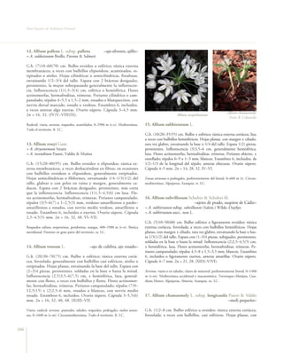 Flora Vascular de Andalucía Oriental




      12. Allium pallens L. subsp. pallens                     –ajo silvestre, ajillo–
      = A. valdesianum Brullo, Pavone & Salmeri

      G.b. (7)10–60(70) cm. Bulbo ovoideo o esférico; túnica externa
      membranácea; a veces con bulbillos elipsoideos, acuminados, es-
      tipitados o sésiles. Hojas cilíndricas o semicilíndricas, fistulosas,
      envainando 1/2–3/4 del tallo. Espata con 2 brácteas desiguales,
      persistentes, la mayor sobrepasando generalmente la inflorescen-
      cia. Inflorescencia (1)1,5–3(4) cm, esférica o hemisférica. Flores
      actinomorfas, hermafroditas, trímeras. Perianto cilíndrico o cam-
      panulado; tépalos 4–5,5 x 1,5–2 mm, rosados o blanquecinos, con
      nervio dorsal marcado, rosado o verdoso. Estambres 6, incluidos,
      a veces anteras algo exertas. Ovario súpero. Cápsula 3–4,5 mm.
                                                                                                                                                      Allium chamaemoly.
      2n = 16, 32. (IV)V–VIII(IX).                                                                                Allium neapolitanum
                                                                                                                                                       Foto: B. Cabezudo
      Ruderal, viaria, arvense, roquedos, acantilados, 0–2900 m (t–c). Mediterránea.       15. Allium subhirsutum L.
      Todo el territorio. fr. LC.
                                                                                           G.b. (10)20–35(55) cm. Bulbo ± esférico; túnica externa coriácea, lisa;
                                                                                           a veces con bulbillos hemisféricos. Hojas planas, con margen ± ciliado,
      13. Allium rouyi Gaut.                                                               rara vez glabro, envainando la base o 1/4 del tallo. Espata 1(2) piezas,
      = A. chrysonemum Stearn                                                              persistentes. Inflorescencia (3)3,5–6 cm, generalmente hemisférica,
      = A. reconditum Pastor, Valdés & Muñoz                                               laxa. Flores actinomorfas, hermafroditas, trímeras. Perianto abierto, ±
                                                                                           estrellado; tépalos 6–9 x 1–3 mm, blancos. Estambres 6, incluidos, de
      G.b. (15)20–80(95) cm. Bulbo ovoideo o elipsoideo; túnica ex-                        1/2–1/3 de la longitud del tépalo, anteras obscuras. Ovario súpero.
      terna membranácea, a veces deshaciéndose en fibras; en ocasiones                     Cápsula 4–5 mm. 2n = 14, 28, 32. IV–VI.
      con bulbillos ovoideos o elipsoideos, generalmente estipitados.
      Hojas semicilíndricas o filiformes, envainando 1/4–1/3(1/2) del                      Zonas arenosas o pedregales, preferentemente del litoral, 0–600 m (t). Circun-
      tallo, glabras o con pelos en vaina y margen, generalmente ca-                       mediterránea. Alpujarras, Axarquía. rr. LC.
      ducos. Espata con 2 brácteas desiguales, persistentes, más corta
      que la inflorescencia. Inflorescencia (1)1,5–4,5(6) cm laxa. Flo-
      res actinomorfas, hermafroditas, trímeras. Perianto campanulado;                     16. Allium subvillosum Schultes & Schultes fil.
      tépalos (3)5–6(7) x 1–2,5(3) mm, verdoso–amarillentos o pardo–                                                 –ajetes de prado, suspiros de Cádiz–
      amarillentos a rosados, con nervio medio verdoso, amarillento o                      = A. subhirsutum subsp. subvillosum (Salzm.) Wilde–Duyfjes
      rosado. Estambres 6, incluidos o exertos. Ovario súpero. Cápsula                     = A. subhirsutum auct., non L.
      2,5–4,5(5) mm. 2n = 16, 32, 48. VI–VII.
                                                                                           G.b. (5)10–50(60) cm. Bulbo esférico o ligeramente ovoideo; túnica
      Roquedos calizos, serpentinas, peridotitas, margas, 400–1900 m (t–o). Ibérica        externa coriácea, foveolada; a veces con bulbillos hemisféricos. Hojas
      meridional. Presente en gran parte del territorio. ra. LC.                           planas, con margen ± ciliado, rara vez glabro, envainando la base o has-
                                                                                           ta 1/3(1/2) del tallo. Espata con (1–3)4 piezas, subiguales, persistentes,
                                                                                           soldadas en la base o hasta la mitad. Inflorescencia (2)2,5–4,5(5) cm,
      14. Allium roseum L.                          –ajo de culebra, ajo rosado–           ± hemisférica, laxa. Flores actinomorfas, hermafroditas, trímeras. Pe-
                                                                                           rianto campanulado; tépalos 4,5–8 x 1,5–3,5 mm, blancos. Estambres
      G.b. (20)30–70(75) cm. Bulbo ± esférico; túnica externa coriá-                       6, incluidos o ligeramente exertos, anteras amarillas. Ovario súpero.
      cea, foveolada; generalmente con bulbillos casi esféricos, sésiles o                 Cápsula 4–7 mm. 2n = 21, 28. (XII)I–V(VI).
      estipitados. Hojas planas, envainando la base del tallo. Espata con
      (2–3)4 piezas, persistentes, soldadas en la base o hasta la mitad.                   Arvense, viaria o en taludes, claros de matorral, preferentemente litoral, 0–1400
      Inflorescencia (2,5)3,5–6(7,5) cm, ± hemisférica, laxa, general-                     m (t–m). Mediterránea occidental y macaronésica. Trevenque–Almijara, Gua-
      mente con flores, a veces con bulbillos y flores. Flores actinomor-                  diana Menor, Alpujarras, Almería, Axarquía. oc. LC.
      fas, hermafroditas, trímeras. Perianto campanulado; tépalos (7)9–
      12,5(15) x (2)2,5–6 mm, rosados o blancos, con nervio medio
      rosado. Estambres 6, incluidos. Ovario súpero. Cápsula 3–5,5(6)                      17. Allium chamaemoly L. subsp. longicaulis Pastor & Valdés
      mm. 2n = 16, 32, 40, 48. (II)III–VII.                                                                                            –moli pequeño–

      Viaria, ruderal, arvense, pastizales, taludes, roquedos, pedregales, suelos areno-   G.b. (1)2–8 cm. Bulbo esférico u ovoideo; túnica externa coriácea,
      sos, 0–1600 m (t–m). Circunmediterránea. Todo el territorio. fr. LC.                 foveolada; a veces con bulbillos, casi esféricos. Hojas planas, con


166
 