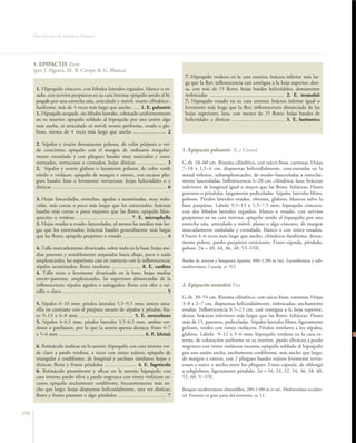 Flora Vascular de Andalucía Oriental




      1. EPIPACTIS Zinn
      (por J. Algarra, M. B. Crespo & G. Blanca)
                                                                                                            7. Hipoquilo verdoso en la cara externa; bráctea inferior más lar-
                                                                                                            ga que la flor; inflorescencia casi contigua a la hoja superior, den-
       1. Hipoquilo cóncavo, con lóbulos laterales erguidos, blanco o ro-                                   sa, con más de 15 flores; hojas basales helicoidales, densamente
       sado, con nervios purpúreos en su cara interna; epiquilo unido al hi-                                imbricadas ........................................................ 2. E. tremolsii
       poquilo por una estrecha uña, articulado y móvil; ovario cilíndrico–                                 7. Hipoquilo rosado en su cara externa; bráctea inferior igual o
       fusiforme, más de 4 veces más largo que ancho ...... 1. E. palustris                                 levemente más larga que la flor; inflorescencia distanciada de las
       1. Hipoquilo acopado, sin lóbulos laterales, coloreado uniformemente                                 hojas superiores, laxa, con menos de 25 flores; hojas basales de
       en su interior; epiquilo soldado al hipoquilo por una unión algo                                     helicoidales a dísticas ........................................ 3. E. lusitanica
       más ancha, ni articulado ni móvil; ovario piriforme, ovado o glo-
       boso, menos de 4 veces más largo que ancho ......................... 2

       2. Sépalos y ovario densamente pelosos, de color púrpura o ver-
       de ceniciento; epiquilo con el margen de ordinario irregular-                                       1. Epipactis palustris (L.) Crantz
       mente crenulado y con pliegues basales muy marcados y orna-
       mentados, verrucosos o crestados; hojas dísticas ...................... 3                           G.rh. 10–60 cm. Rizoma cilíndrico, con raíces finas, carnosas. Hojas
       2. Sépalos y ovario glabros o laxamente pelosos, de color verde                                     7–18 x 1,5–4 cm, dispuestas helicoidalmente, concentradas en la
       nítido o violáceo; epiquilo de margen ± entero, con escasos plie-                                   mitad inferior, subamplexicaules, de ovado–lanceoladas a estrecha-
       gues basales lisos o levemente verrucosos; hojas helicoidales o ±                                   mente lanceoladas. Inflorescencia 6–20 cm, cilíndrica, laxa; brácteas
       dísticas ...................................................................................... 6   inferiores de longitud igual o mayor que las flores, foliáceas. Flores
                                                                                                           patentes o péndulas, largamente pediceladas. Sépalos laterales libres,
       3. Hojas lanceoladas, estrechas, agudas o acuminadas, muy redu-                                     pelosos. Pétalos laterales ovados, obtusos, glabros, blancos salvo la
       cidas, más cortas o poco más largas que los entrenudos; brácteas                                    base purpúrea. Labelo 9,5–13 x 5,5–7,5 mm; hipoquilo cóncavo,
       basales más cortas o poco mayores que las flores; epiquilo blan-                                    con dos lóbulos laterales erguidos, blanco o rosado, con nervios
       quecino o verdoso ......................................... 7. E. microphylla                       purpúreos en su cara interna; epiquilo unido al hipoquilo por una
       3. Hojas ovadas u ovado–lanceoladas, al menos las medias más lar-                                   estrecha uña, articulado y móvil, plano o algo cóncavo, de margen
       gas que los entrenudos; brácteas basales generalmente más largas                                    marcadamente ondulado y crenulado, blanco o con tintes rosados.
       que las flores; epiquilo purpúreo o rosado ................................. 4                      Ovario 4–6 veces más largo que ancho, cilíndrico–fusiforme, densa-
                                                                                                           mente peloso, pardo–purpúreo ceniciento. Fruto cápsula, péndulo,
       4. Tallo marcadamente divaricado, sobre todo en la base; hojas me-                                  peloso. 2n = 40, 44, 46, 48. VI–VIII.
       dias patentes y notablemente arqueadas hacia abajo, poco o nada
       amplexicaules, las superiores casi en contacto con la inflorescencia;                               Bordes de arroyos y bosquetes riparios, 800–1200 m (m). Eurosiberiana y sub-
       sépalos acuminados; flores inodoras ...................... 8. E. cardina                            mediterránea. Cazorla. rr. NT.
       4. Tallo recto o levemente divaricado en la base; hojas medias
       erecto–patentes, amplexicaules, las superiores distanciadas de la
       inflorescencia; sépalos agudos o subagudos; flores con olor a vai-                                  2. Epipactis tremolsii Pau
       nilla o clavo ............................................................................... 5
                                                                                                           G.rh. 30–54 cm. Rizoma cilíndrico, con raíces finas, carnosas. Hojas
       5. Sépalos 6–10 mm; pétalos laterales 5,5–9,5 mm; antera ama-                                       3–8 x 2–7 cm, dispuestas helicoidalmente, imbricadas, anchamente
       rilla en contraste con el púrpura oscuro de sépalos y pétalos; fru-                                 ovadas. Inflorescencia 8,5–23 cm, casi contigua a la hoja superior,
       to 9–13 x 6–8 mm ......................................... 5. E. atrorubens                         densa; brácteas inferiores más largas que las flores, foliáceas. Flores
       5. Sépalos 4–6,5 mm, pétalos laterales 3,5–6,5 mm, ambos ver-                                       más de 15, patentes, pediceladas. Sépalos laterales libres, ligeramente
       dosos o parduscos, por lo que la antera apenas destaca; fruto 4–7                                   pelosos, verdes con tintes violáceos. Pétalos similares a los sépalos,
       x 5–6 mm ................................................................. 6. E. kleinii            glabros. Labelo 9–12 x 3–6 mm; hipoquilo verdoso en la cara ex-
                                                                                                           terna, de coloración uniforme en su interior, pardo oliváceo a pardo
       6. Retináculo ineficaz en la antesis; hipoquilo con cara interna ver-                               negruzco con tintes violáceos oscuros; epiquilo soldado al hipoquilo
       de claro a pardo verdosa, a veces con tintes rojizos; epiquilo de                                   por una unión ancha, anchamente cordiforme, más ancho que largo,
       triangular a cordiforme, de longitud y anchura similares; hojas ±                                   de margen ± entero, con 2 pliegues basales rojizos levemente verru-
       dísticas; flores y frutos péndulos .........…........... 4. E. fageticola                           cosos y surco ± ancho entre los pliegues. Fruto cápsula, de oblongo
       6. Retináculo prominente y eficaz en la antesis; hipoquilo con                                      a subgloboso, ligeramente péndulo. 2n = 16, 24, 32, 34, 36, 38, 40,
       cara interna pardo oliva a pardo negruzca con tintes violáceos os-                                  52, 60. V–VII.
       curos; epiquilo anchamente cordiforme, frecuentemente más an-
       cho que largo; hojas dispuestas helicoidalmente, rara vez dísticas;                                 Bosques mediterráneos climatófilos, 200–1100 m (t–m). Mediterránea occiden-
       flores y frutos patentes o algo péndulos ........................…......... 7                       tal. Presente en gran parte del territorio. ra. LC.


194
 