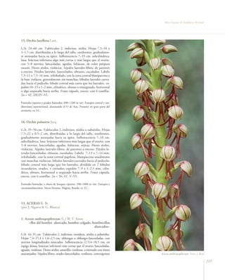 Flora Vascular de Andalucía Oriental




15. Orchis laxiflora Lam.

G.b. 24–60 cm. Tubérculos 2, indivisos, sésiles. Hojas 7,5–18 x
1–1,5 cm, distribuidas a lo largo del tallo, ensiformes, gradualmen-
te atenuadas hacia su ápice. Inflorescencia 7–19 cm, subcilíndrica,
laxa; brácteas inferiores algo más cortas o más largas que el ovario,
con 5–8 nervios, lanceoladas, agudas, foliáceas, de color púrpura
oscuro. Flores sésiles, violáceas. Sépalos laterales libres, de patentes
a erectos. Pétalos laterales, lanceolados, obtusos, cuculados. Labelo
7,5–11 x 7,5–16 mm, trilobulado, con la zona central blanquecina y
la base violácea, generalmente sin manchas; lóbulos laterales curva-
dos hacia el pedicelo; lóbulo central más corto que los laterales; es-
polón 10–13 x 1–2 mm, cilíndrico, obtuso o emarginado, horizontal
o algo arqueado hacia arriba. Fruto cápsula, erecto, con 6 costillas.
2n = 42. (III)IV–VI.

Pastizales riparios y prados húmedos, 600–1200 m (m). Europea central y me-
diterránea septentrional, alcanzando el O de Asia. Presente en gran parte del
territorio. ra. LC.



16. Orchis palustris Jacq.

G.b. 35–50 cm. Tubérculos 2, indivisos, sésiles o subsésiles. Hojas
7,5–22 x 0,5–2 cm, distribuidas a lo largo del tallo, ensiformes,
gradualmente atenuadas hacia su ápice. Inflorescencia 7–18 cm,
subcilíndrica, laxa; brácteas inferiores más largas que el ovario, con
5–8 nervios, lanceoladas, agudas, foliáceas, rojizas. Flores sésiles,
violáceas. Sépalos laterales libres, de patentes a erectos. Pétalos la-
terales lanceolados, obtusos, cuculados. Labelo 7–13 x 7–14 mm,
trilobulado, con la zona central papilosa, blanquecina usualmente
con manchas violáceas; lóbulos laterales curvados hacia el pedicelo;
lóbulo central más largo que los laterales, dividido en 2 lóbulos
secundarios, ovados, ± crenados; espolón 7–9 x 1–2,5 mm, cilín-
drico, obtuso, horizontal o arqueado hacia arriba. Fruto cápsula,
erecto, con 6 costillas. 2n = 36, 42. V–VI.

Pastizales húmedos y claros de bosques riparios, 500–1000 m (m). Europea y
circunmediterránea. Sierra Morena, Mágina, Ronda. ra. LC.




13. ACERAS R. Br.
(por J. Algarra & G. Blanca)


1. Aceras anthropophorum (L.) W. T. Aiton
      –flor del hombre ahorcado, hombre colgado, hombrecillos
                                                  ahorcados–

G.b. 16–35 cm. Tubérculos 2, indivisos, ovoideos, sésiles o subsésiles.
Hojas 7,4–15,4 x 1,6–2,5 cm, oblongas u oblongo–lanceoladas, con
nervios longitudinales marcados. Inflorescencia (2,5)4–18,5 cm, en
espiga densa; brácteas inferiores más cortas que el ovario, lanceoladas,
agudas, verdosas. Flores sésiles, amarillo–verdosas, a menudo con tintes
anaranjados. Sépalos libres, ovado–lanceolados, verdosos, convergentes          Aceras anthropophorum. Foto: J. Real

                                                                                                                         215
 