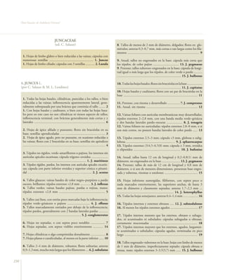 Flora Vascular de Andalucía Oriental




                                            JUNCACEAE
                                             (ed. C. Salazar)                                                  8. Tallos de menos de 2 mm de diámetro, delgados; flores en glo-
                                                                                                               mérulos; anteras 0,3–0,7 mm, más cortas o tan largas como los fila-
                                                                                                               mentos ...................................................................................... 9
       1. Hojas de limbo glabro o bien reducidas a las vainas; cápsulas con
       numerosas semillas ...................................................... 1. Juncus                     9. Anual; tallos no engrosados en la base; cápsula más corta que
       1. Hojas de limbo ciliado; cápsulas con 3 semillas ........... 2. Luzula                                los tépalos, de color pajizo ............................... 13. J. pygmaeus
                                                                                                               9. Perenne; tallos tuberoso–engrosados en la base; cápsula de longi-
                                                                                                               tud igual o más larga que los tépalos, de color verde o pardo ..........
                                                                                                               ............................................................................. 15. J. bulbosus

      1. JUNCUS L.                                                                                             10. Todas las hojas basales; flores sin bractéolas en la base ..................
      (por C. Salazar & M. L. Lendínez)                                                                        ............................................................................. 11. J. capitatus
                                                                                                               10. Hojas basales y caulinares; flores con un par de bractéolas en la
                                                                                                               base ......................................................................................... 11
       1. Todas las hojas basales, cilíndricas, parecidas a los tallos, o bien
       reducidas a las vainas; inflorescencia aparentemente lateral, gene-                                     11. Perenne, con rizoma ± desarrollado ............... 7. J. compressus
       ralmente sobrepasada por una bráctea que continúa el tallo ........ 2                                   11. Anual, sin rizoma .............................................................. 12
       1. Con hojas basales y caulinares, o bien con todas las hojas basa-
       les pero en este caso no son cilíndricas ni tienen aspecto de tallos;                                   12. Vainas foliares con aurículas membranáceas muy desarrolladas;
       inflorescencia terminal, con brácteas generalmente más cortas y ±                                       tépalos externos 2–2,8 mm, con una banda media verde–grisácea
       laterales ..................................................................................... 6       y dos bandas laterales pardo–oscuras ................... 8. J. tenageia
                                                                                                               12. Vainas foliares no auriculadas; tépalos externos 2,8–8 mm, o si
       2. Hojas de ápice afilado y punzante; flores sin bractéolas en su                                       son más cortos, no poseen bandas laterales de color pardo ...... 13
       base; semillas apendiculadas ……...................................……... 3
       2. Hojas de ápice agudo, pero no punzante, en ocasiones reducidas a                                     13. Tépalos externos 2,5–3 mm; cápsula <3 mm, globosa o subg-
       las vainas; flores con 2 bractéolas en su base; semillas sin apéndices                                  lobosa .......................................................… 9. J. sphaerocarpus
       ................................................................................................... 4   13. Tépalos externos (3)4,5–6,5(8) mm; cápsula ≥ 3 mm, ovoidea
                                                                                                               o elipsoidea ........................................................ 10. J. bufonius
       3. Tépalos no rígidos, verde–amarillentos o pajizos, los internos sin
       aurículas apicales escariosas; cápsula trígono–ovoidea ....................                             14. Anual; tallos hasta 12 cm de longitud y 0,2–0,8(1) mm de
       ............................................................................ 1. J. maritimus            diámetro, no engrosados en la base ...................... 13. J. pygmaeus
       3. Tépalos rígidos, pardos, los internos con aurículas apicales escario-                                14. Perenne; tallos de más de 12 cm de longitud y 0,8 mm de
       sas; cápsula con parte inferior ovoidea y superior cónica o pirami-                                     diámetro, o si son de menores dimensiones, presentan base engro-
       dal ……………..…...................................…............ 2. J. acutus                               sada y tuberosa, rizomas o estolones ........................................ 15

       4. Tallos glaucos; vainas basales de color negro–purpúreo a pardo                                       15. Hojas inferiores sumergidas, filiformes, con septos poco o
       oscuro, brillantes; tépalos externos >2,8 mm ............ 3. J. inflexus                                nada marcados exteriormente, las superiores anchas, de hasta 3
       4. Tallos verdes; vainas basales pajizas, pardas o rojizas, mates;                                      mm de diámetro y claramente septadas; anteras 1,7–2,3 mm ...
       tépalos externos <2,8 mm ....................................................... 5                      .................................................................... 14. J. heterophyllus
                                                                                                               15. Todas las hojas semejantes; anteras 0,4–1,4 mm ……......… 16
       5. Tallos casi lisos, con estrías poco marcadas bajo la inflorescencia;
       tépalos verde–grisáceos o pajizos ........................... 4. J. effusus                             16. Tépalos internos y externos obtusos ..... 12. J. subnodulosus
       5. Tallos marcadamente estriados por debajo de la inflorescencia;                                       16. Al menos los tépalos externos agudos ................................. 17
       tépalos pardos, generalmente con 2 bandas laterales pardas ...........
       ...................................................................... 5. J. conglomeratus              17. Tépalos internos menores que los externos, obtusos o subagu-
                                                                                                               dos, ni acuminados ni subulados; cápsulas subagudas u obtusas,
       6. Hojas no septadas, o con septos poco notables ................. 7                                    cortamente mucronadas ........................................................ 18
       6. Hojas septadas, con septos visibles exteriormente ............ 14                                    17. Tépalos internos mayores que los externos, agudos, largamen-
                                                                                                               te acuminados o subulados; cápsulas agudas, terminadas en pico
       7. Hojas cilíndricas o algo comprimidas dorsalmente .................. 8                                largo ........................................................................................ 19
       7. Hojas planas o canaliculadas, al menos en la parte inferior ...... 10
                                                                                                               18. Tallos engrosado–tuberosos en la base; hojas con limbo de menos
       8. Tallos 2–4 mm de diámetro, robustos; flores solitarias; anteras                                      de 1 mm de diámetro, imperfectamente septado; cápsula obtusa o
       0,9–1,3 mm, mucho más largas que los filamentos .... 6. J. subulatus                                    retusa, mate; tépalos externos 3–3,5(3,7) mm ...... 15. J. bulbosus


230
 