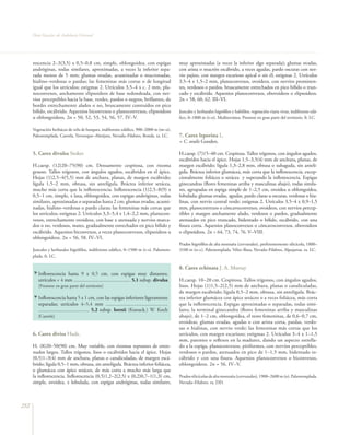 Flora Vascular de Andalucía Oriental




      rescencia 2–3(3,5) x 0,5–0,8 cm, simple, oblongoidea, con espigas                      muy aproximadas (a veces la inferior algo separada); glumas ovadas,
      andróginas, todas similares, aproximadas, a veces la inferior sepa-                    con arista o mucrón escábrido, a veces agudas, pardo oscuras con ner-
      rada menos de 5 mm; glumas ovadas, acuminadas o mucronadas,                            vio pajizo, con margen escarioso apical o sin él; estigmas 2. Utrículos
      hialino–verdosas o pardas; las femeninas más cortas o de longitud                      3,5–4 x 1,5–2 mm, planoconvexos, ovoideos, con nervios prominen-
      igual que los utrículos; estigmas 2. Utrículos 3,5–4 x c. 2 mm, pla-                   tes, verdosos o pardos, bruscamente estrechados en pico bífido o trun-
      noconvexos, anchamente elipsoideos de base redondeada, con ner-                        cado y escábrido. Aquenios planoconvexos, obovoideos o elipsoideos.
      vios perceptibles hacia la base, verdes, pardos o negros, brillantes, de               2n = 58, 60, 62. III–VI.
      bordes estrechamente alados o no, bruscamente contraídos en pico
      bífido, escábrido. Aquenios biconvexos o planoconvexos, elipsoideos                    Juncales y herbazales higrófilos y halófilos, vegetación viaria vivaz, indiferente edá-
      u oblongoideos. 2n = 50, 52, 53, 54, 56, 57. IV–V.                                     fico, 0–1800 m (t–o). Mediterránea. Presente en gran parte del territorio. fr. LC.

      Vegetación herbácea de orla de bosques, indiferente edáfico, 900–2000 m (m–o).
      Paleotemplada. Cazorla, Trevenque–Almijara, Nevada–Filabres, Ronda. ra. LC.            7. Carex leporina L.
                                                                                             = C. ovalis Gooden.

      5. Carex divulsa Stokes                                                                H.caesp. (7)15–40 cm. Cespitosa. Tallos trígonos, con ángulos agudos,
                                                                                             escábridos hacia el ápice. Hojas 1,5–3,5(4) mm de anchura, planas, de
      H.caesp. (12)20–75(90) cm. Densamente cespitosa, con rizoma                            margen escábrido; lígula 1,3–2,8 mm, obtusa o subaguda, sin antelí-
      grueso. Tallos trígonos, con ángulos agudos, escábridos en el ápice.                   gula. Bráctea inferior glumácea, más corta que la inflorescencia, excep-
      Hojas (1)2,5–4(5,5) mm de anchura, planas, de margen escábrido;                        cionalmente foliácea o setácea y superando la inflorescencia. Espigas
      lígula 1,5–2 mm, obtusa, sin antelígula. Bráctea inferior setácea,                     ginecandras (flores femeninas arriba y masculinas abajo), todas simila-
      mucho más corta que la inflorescencia. Inflorescencia (1)2,5–8(9) x                    res, agrupadas en espiga simple de 1–2,5 cm, ovoidea u oblongoidea,
      0,5–1 cm, simple, ± laxa, oblongoidea, con espigas andróginas, todas                   lobulada; glumas ovadas, agudas, pardo claras u oscuras, verdosas o hia-
      similares, aproximadas o separadas hasta 2 cm; glumas ovadas, acumi-                   linas, con nervio central verde; estigmas 2. Utrículos 3,5–4 x 0,9–1,5
      nadas, hialino–verdosas o pardo claras; las femeninas más cortas que                   mm, planoconvexos o cóncavoconvexos, ovoideos, con nervios percep-
      los utrículos; estigmas 2. Utrículos 3,3–5,4 x 1,4–2,2 mm, planocon-                   tibles y margen anchamente alado, verdosos o pardos, gradualmente
      vexos, estrechamente ovoideos, con base ± atenuada y nervios marca-                    atenuados en pico truncado, bidentado o bífido, escábrido, con una
      dos o no, verdosos, mates, gradualmente estrechados en pico bífido y                   fisura corta. Aquenios planoconvexos o cóncavoconvexos, obovoideos
      escábrido. Aquenios biconvexos, a veces planoconvexos, elipsoideos u                   o elipsoideos. 2n = 64, 73, 74, 76. V–VIII.
      oblongoideos. 2n = 56, 58. IV–VI.
                                                                                             Prados higrófilos de alta montaña (cervunales), preferentemente silicícola, 1800–
      Juncales y herbazales higrófilos, indiferente edáfico, 0–1500 m (t–s). Paleotem-       3100 m (o–c). Paleotemplada. Vélez–Baza, Nevada–Filabres, Alpujarras. ra. LC.
      plada. fr. LC.

                                                                                             8. Carex echinata J. A. Murray
         Inflorescencia hasta 9 x 0,5 cm, con espigas muy distantes;
         utrículos < 4 mm ............................................. 5.1 subsp. divulsa   H.caesp. 10–20 cm. Cespitosa. Tallos trígonos, con ángulos agudos,
         [Presente en gran parte del territorio]                                             lisos. Hojas (1)1,5–2(2,5) mm de anchura, planas o canaliculadas,
                                                                                             de margen escábrido; lígula 0,5–2 mm, obtusa, sin antelígula. Brác-
         Inflorescencia hasta 5 x 1 cm, con las espigas inferiores ligeramente               tea inferior glumácea con ápice setáceo o a veces foliácea, más corta
         separadas; utrículos 4–5,4 mm .................................................     que la inflorescencia. Espigas aproximadas o separadas, todas simi-
         ........................................ 5.2 subsp. leersii (Kneuck.) W. Koch       lares; la terminal ginecandra (flores femeninas arriba y masculinas
         [Cazorla]                                                                           abajo), de 1–2 cm, oblongoidea, el resto femeninas, de 0,6–0,7 cm,
                                                                                             ovoideas; glumas ovadas, agudas o con arista corta, pardas, verdo-
                                                                                             sas o hialinas, con nervio verde; las femeninas más cortas que los
      6. Carex divisa Huds.                                                                  utrículos, con margen escarioso; estigmas 2. Utrículos 3–4 x 1–1,5
                                                                                             mm, patentes o reflexos en la madurez, dando un aspecto estrella-
      H. (8)20–50(90) cm. Muy variable, con rizomas reptantes de entre-                      do a la espiga, planoconvexos, piriformes, con nervios perceptibles,
      nudos largos. Tallos trígonos, lisos o escábridos hacia el ápice. Hojas                verdosos o pardos, atenuados en pico de 1–1,5 mm, bidentado es-
      (0,5)1–3(4) mm de anchura, planas o canaliculadas, de margen escá-                     cábrido y con una fisura. Aquenios planoconvexos o biconvexos,
      brido; lígula 0,5–1 mm, obtusa, sin antelígula. Bráctea inferior foliácea,             oblongoideos. 2n = 56. IV–V.
      o glumácea con ápice setáceo, de más corta a mucho más larga que
      la inflorescencia. Inflorescencia (0,5)1,2–2(2,5) x (0,2)0,7–1(1,3) cm,                Prados silicícolas de alta montaña (cervunales), 1900–2600 m (o). Paleotemplada.
      simple, ovoidea, ± lobulada, con espigas andróginas, todas similares,                  Nevada–Filabres. ra. DD.




252
 