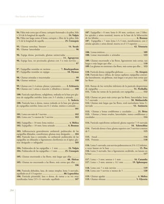Flora Vascular de Andalucía Oriental




       94. Pálea más corta que el lema; cariopsis fusionado a la pálea, hilo                                 107. Espiguillas > 8 mm; lema 6–30 mm, coriáceo, con 2 lóbu-
       > 3/4 de la longitud de aquella ..................................... 24. Vulpia                      los apicales y arista terminal, inserta en la base de la bifurcación
       94. Pálea tan larga como el lema; cariopsis ± libre de la pálea, hilo                                 de los lóbulos ............................................................. 6. Bromus
       < ½ de la longitud de aquella ................................. 25. Ctenopsis                         107. Espiguillas < 7 mm; lema 1,5–5 mm, membranáceo, con 2
                                                                                                             sétulas apicales y arista dorsal, inserta en el 1/3 superior ................
       95. Glumas estrechas, lineares .................................. 14. Secale                          ............................................................................... 42. Trisetaria
       95. Glumas lanceoladas ........................................................ 96
                                                                                                             108. Lemas múticos........ ....................................................... 109
       96. Espiga densa, pectinada; glumas uninervadas ....................                                  108. Lemas mucronados o aristados .................................... 123
       ........................................................................ 11. Agropyron
       96. Espiga laxa, no pectinada; glumas con 3 o más nervios ...                                         109. Glumas encerrando a las flores, ligeramente más cortas, tan
       ....................................................................................... 97            largas o más largas que ellas ................................................... 110
                                                                                                             109. Las glumas no encierran a las flores, más cortas que ellas ... 113
       97. Espiguillas reunidas en racimos .............. 7. Brachypodium
       97. Espiguillas reunidas en espigas ........................... 10. Elymus                            110. Panícula densa; espiguillas globosas ................... 54. Airopsis
                                                                                                             110. Panícula laxa y difusa, de ramas capilares; espiguillas contraí-
       98. Glumas aristadas o mucronadas ......................................... 99                        das lateralmente, no globosas, más largas o un poco más cortas que
       98. Glumas múticas .............................................................. 108                 las flores ................................................................................ 111

       99. Glumas con 2–4 aristas, planas y punzantes ........ 2. Echinaria                                  111. Ramas de los verticilos inferiores de la panícula desprovistas
       99. Glumas con 1 arista o mucrón ± cilíndrico e inerme ....... 100                                    de espiguillas ......................................................... 51. Periballia
                                                                                                             111. Todas las ramas de la panícula con espiguillas ............. 112
       100. Panícula espiciforme, subglobosa, rodeada en la base por glu-
       mas de espiguillas estériles; lema con 3–5 sétulas y aristado ........                                112. Glumas un poco más cortas que las flores, lanceoladas; lema
       ................................................................................... 1. Sesleria       5–7–nervado .................................................... 50. Molineriella
       100. Panícula laxa o densa, nunca rodeada en la base por glumas                                       112. Glumas más largas que las flores, oval–naviculares; lema 3–
       de espiguillas estériles; lema con 0–2 sétulas, mútico o aristado ....                                nervado ............................................................... 53. Antinoria
       ............................................................................................... 101
                                                                                                             113. Glumas y lemas cordiformes y cuculados ........ 21. Briza
       101. Lema con más de 5 nervios ............................................. 102                      113. Glumas y lemas ovados, lanceolados, nunca cordiformes y
       101. Lema con 5 o menos de 5 nervios .................................. 103                           cuculados ............................................................................... 114

       102. Espiguillas < 10 mm; lema mútico ........................ 4. Melica                              114. Panícula espiciforme unilateral; gluma superior 7–9–nervada
       102. Espiguillas > 10 mm; lema aristado .................... 6. Bromus                                …..................................................................... 18. Sclerochloa
                                                                                                             114. Panícula densa o laxa; gluma superior con 5 nervios o menos
       103. Inflorescencia generalmente unilateral; pedúnculos de las                                        de 5 ...............…….....................................................……… 115
       espiguillas dilatados, cuneiformes; glumas muy desiguales ...... 104
       103. Panícula laxa o contraída, no unilateral; pedúnculos de las                                      115. Anual ............................................................................ 116
       espiguillas no dilatados o ligeramente claviformes en el ápice; glu-                                  115. Perenne ......................................................................... 118
       mas desiguales o subiguales .................................................. 105
                                                                                                             116. Lema 5–nervado, con nervios pubescentes en 3/4–1/2 inferior,
       104. Pedúnculos de las espiguillas > 1 mm ............... 24. Vulpia                                  a veces lanoso en la base ................................................ 15. Poa
       104. Pedúnculos de las espiguillas < 1 mm ........... 25. Ctenopsis                                   116. Lema 3–nervado, liso o ligeramente escábrido, no lanoso en
                                                                                                             la base .................................................................................... 117
       105. Glumas encerrando a las flores, más largas que ellas ...........
       .................................................................................. 48. Holcus         117. Lema > 3 mm; anteras ≥ 1 mm …............… 16. Cutandia
       105. Glumas no encerrando a las flores, más cortas que ellas .....                                    117. Lema < 3 mm; anteras c. 0,1 mm ........…. 19. Sphenopus
       ............................................................................................. 106
                                                                                                             118. Lema con 7 o más nervios ………...........….…......…. 119
       106. Panícula deltoidea, laxa, de ramas simples; lema 3–nervado,                                      118. Lema con 5 nervios o menos de 5 ………...........……. 120
       aquillado en el 1/3 superior ................................... 88. Leptochloa
       106. Panícula piramidal, laxa o densa, de ramas a su vez muy                                          119. Glumas agudas .................................................... 4. Melica
       ramificadas; lema (3)5–11–nervado, aquillado ....................... 107                              119. Glumas obtusas ................................................. 5. Glyceria



266
 