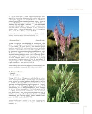 Flora vascular tomo_1