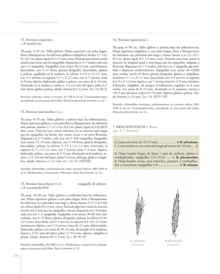 Flora vascular tomo_1