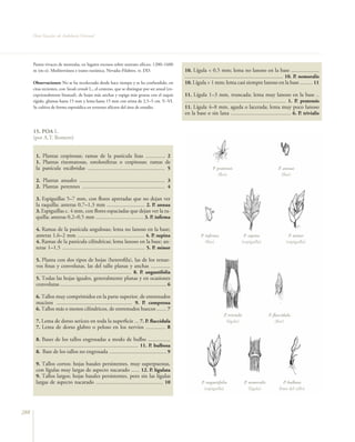 Flora vascular tomo_1