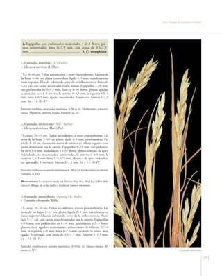 Flora vascular tomo_1