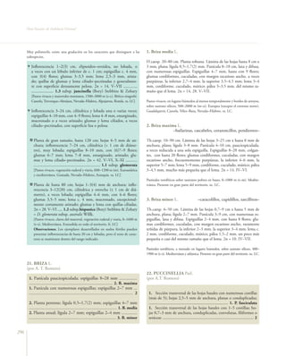 Flora vascular tomo_1