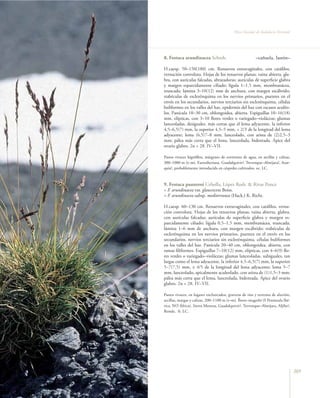 Flora vascular tomo_1