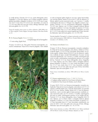 Flora vascular tomo_1